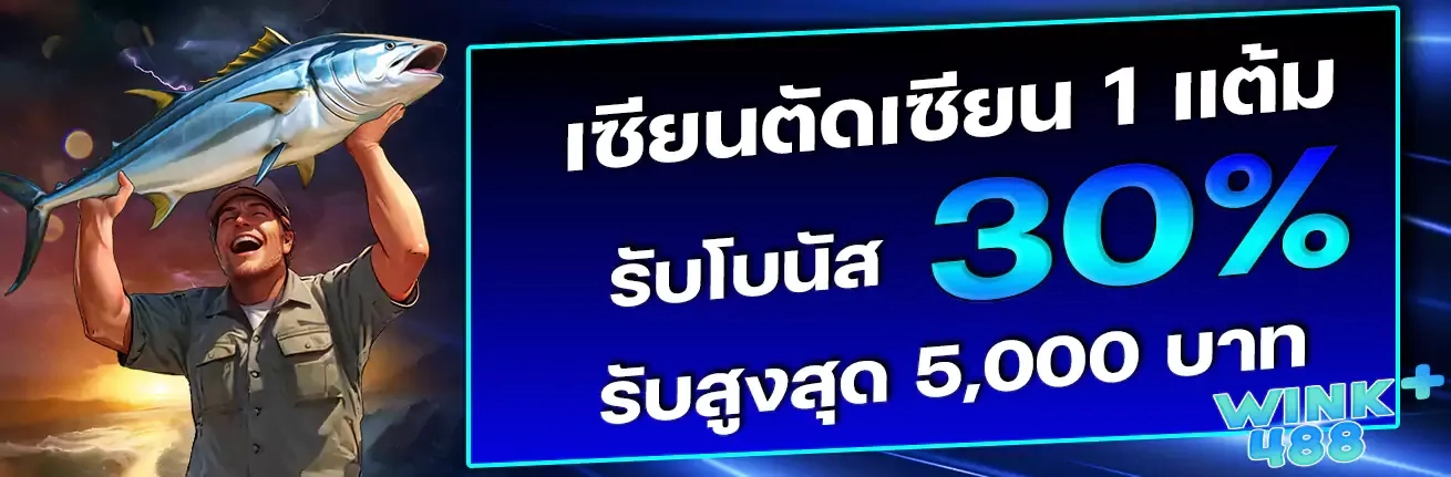 โปรโมชั่น wink488